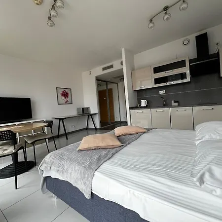 Silver Apartment Wroclaw