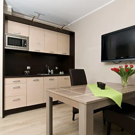 Silver Apartment Breslau