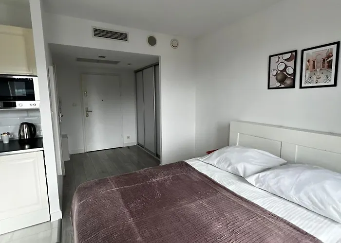 Silver Apartment Wroclaw